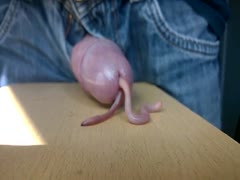 Kinky dude with worms inside his dick